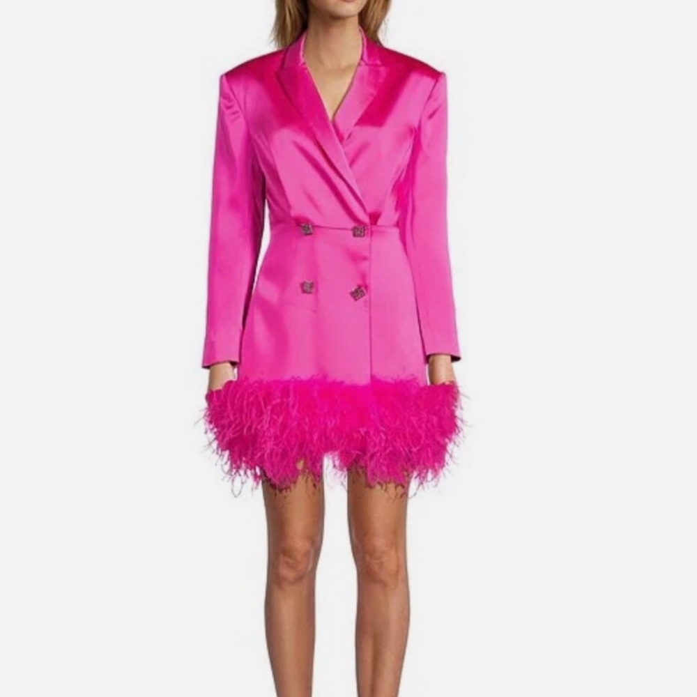 NWT Dr. Bridget Glazarov Satin pink dress